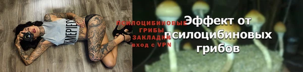 каннабис Беломорск