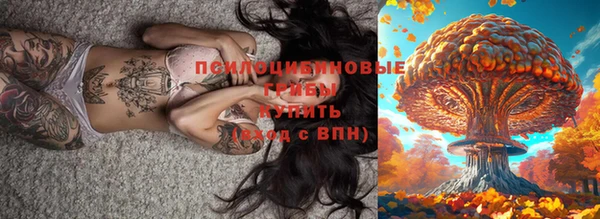 каннабис Беломорск
